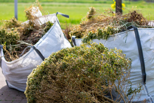 Best Construction Debris Removal  in Fayetteville, GA